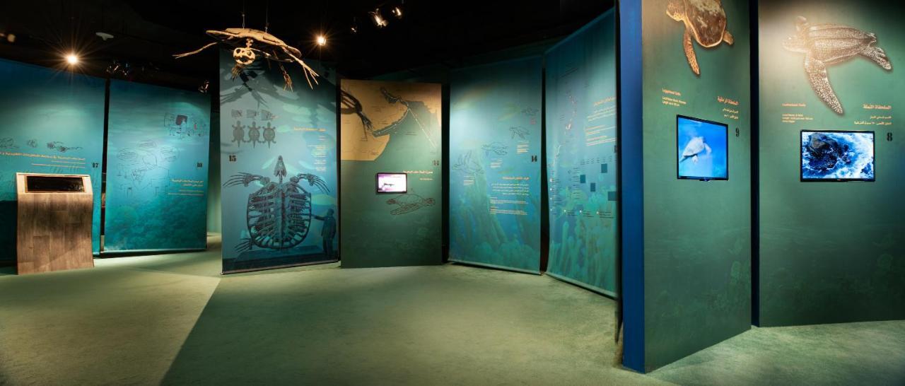 Ras Al Jinz Turtle Reserve Al Hadd Exterior foto