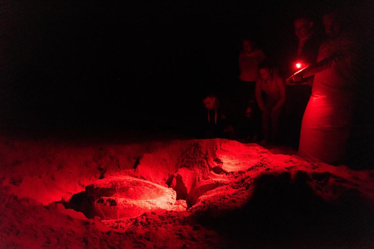 Ras Al Jinz Turtle Reserve Al Hadd Exterior foto