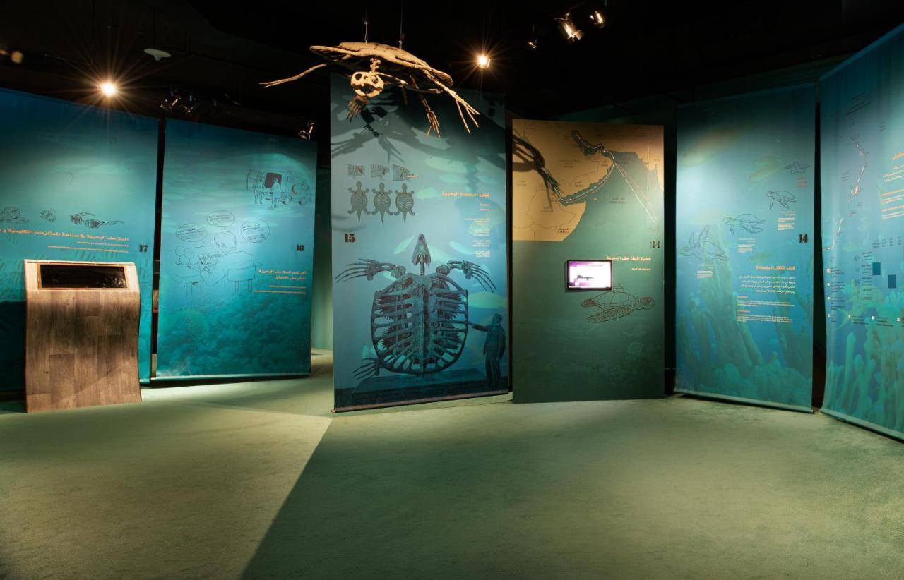 Ras Al Jinz Turtle Reserve Al Hadd Exterior foto